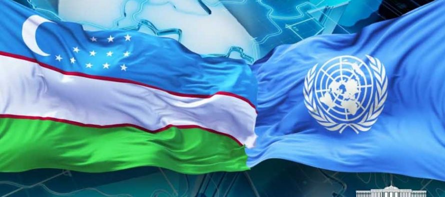 Uzbekistan becomes member of special commission of ECOSOC