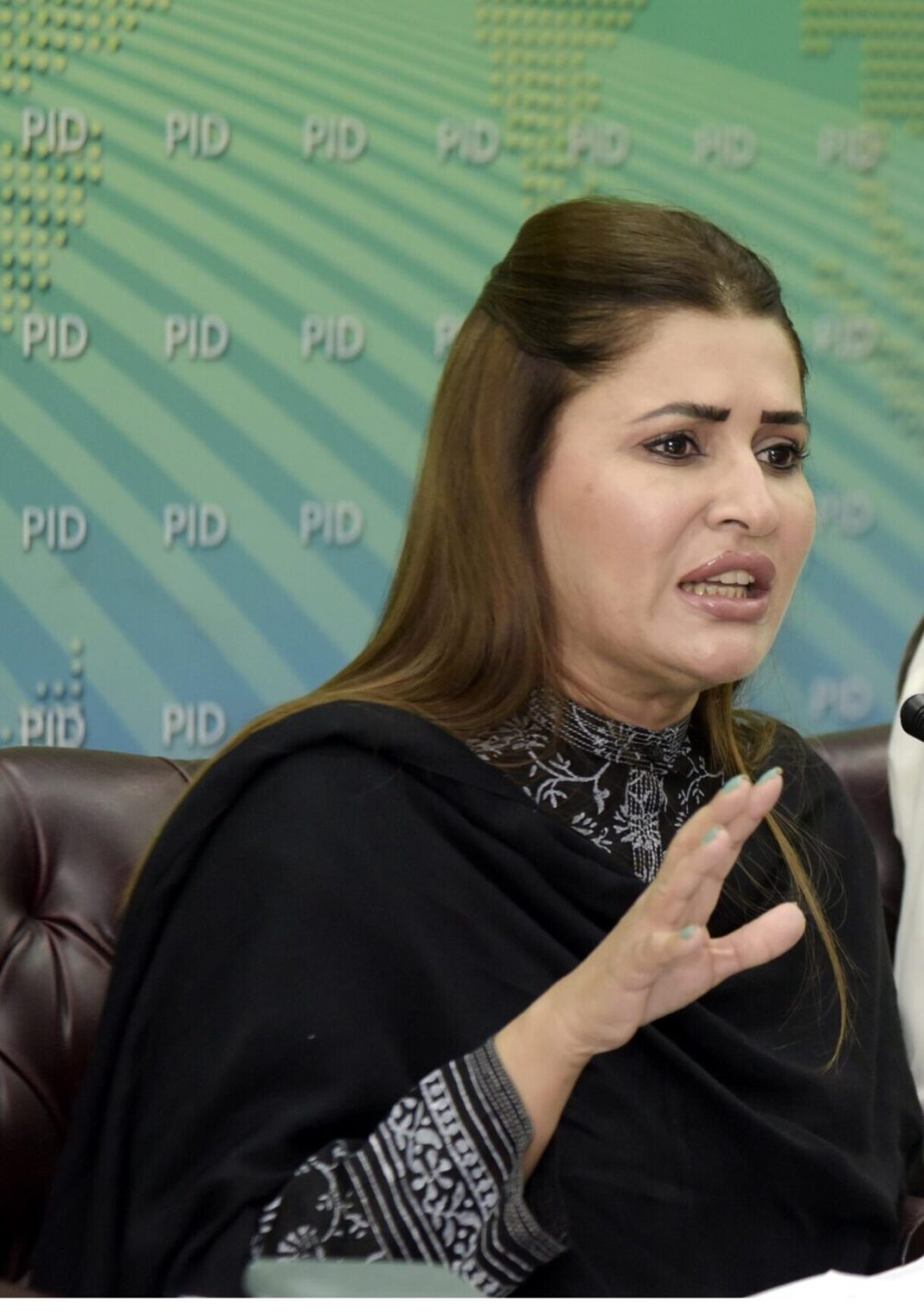 PPP always supports political dialogue: Shazia Marri