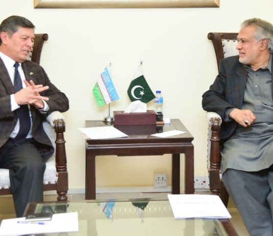 Pak-Uzbekistan can play key role for regional economic integration: Ishaq Dar