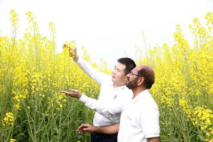 Pakistan's oilseed industry to bloom under China-Pakistan agriculture cooperation