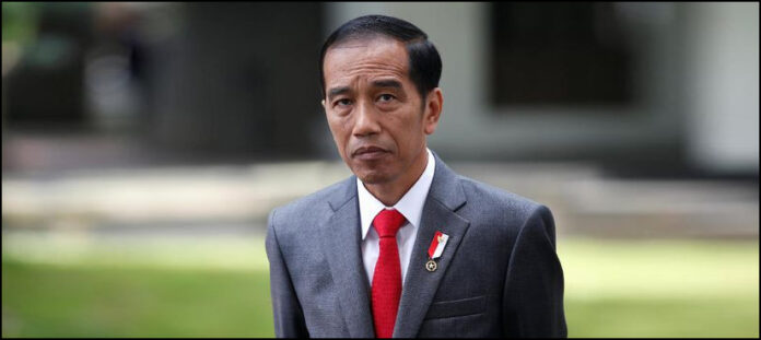 Indonesian president to attend BRICS summit in South Africa