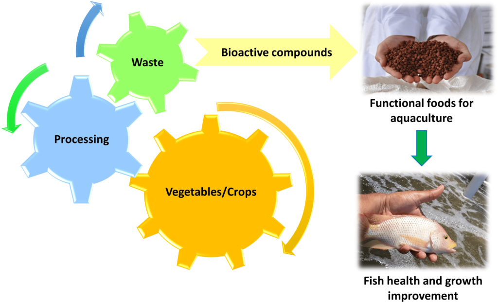 Enhancing Aquaculture sustainability: Optimizing Rice Protein Concentrate based diets for Rohu (Labeo rohita)