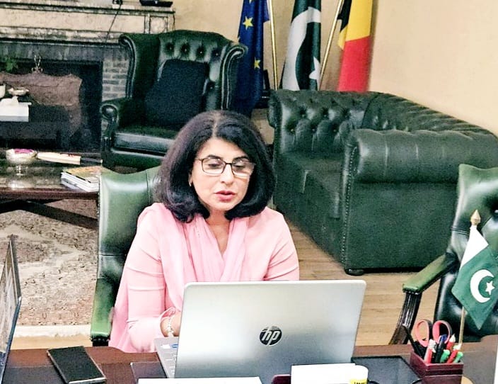 Ambassador Amna Baloch highlights investment opportunities in Pakistan