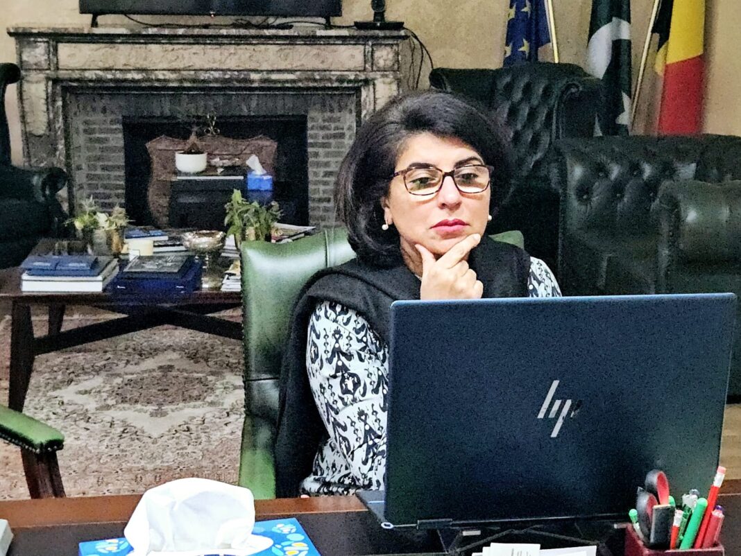 Ambassador holds Virtual Khuli Katchery with Pakistani Community residing in Belgium and Luxembourg