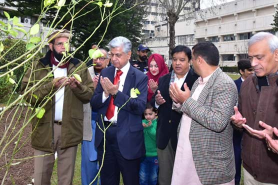 Tree Plantation Drive: Information Minister Plants Sapling At PTV Headquarters