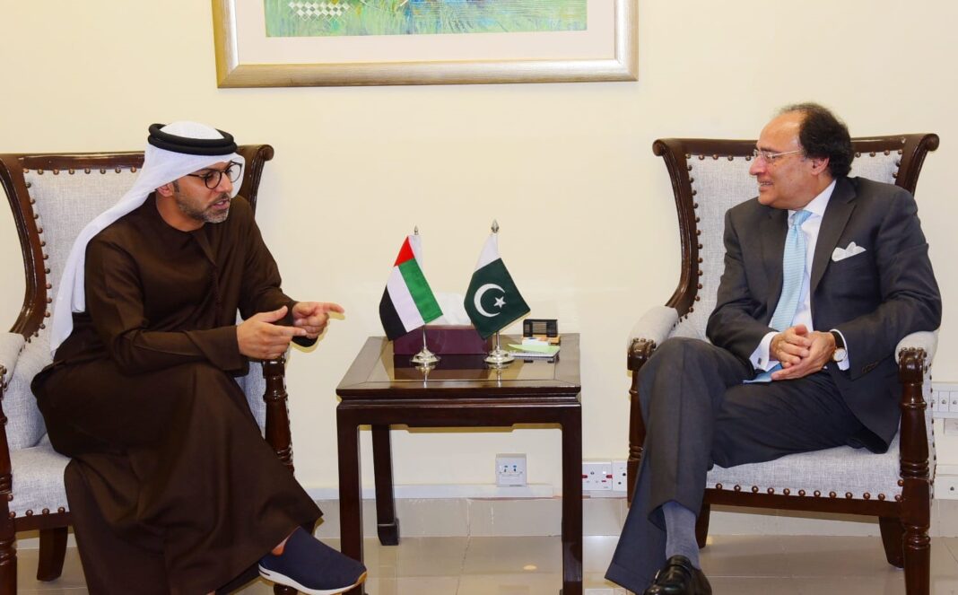 UAE envoy calls on Pakistan's finance minister to discuss economic ties and PIA privatization