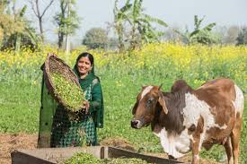 Propelling Pakistan's Agri Entrepreneurs