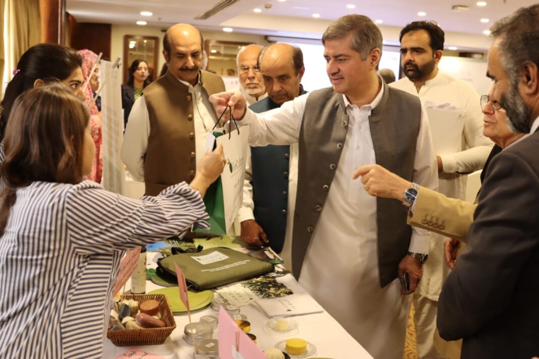 Launch of Olive Market Study for Pakistan