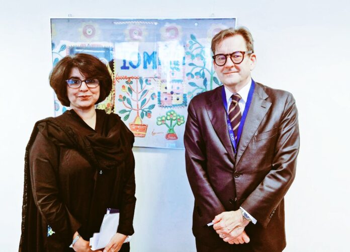 Pakistan envoy Amna Baloch meets EU special envoy on migration