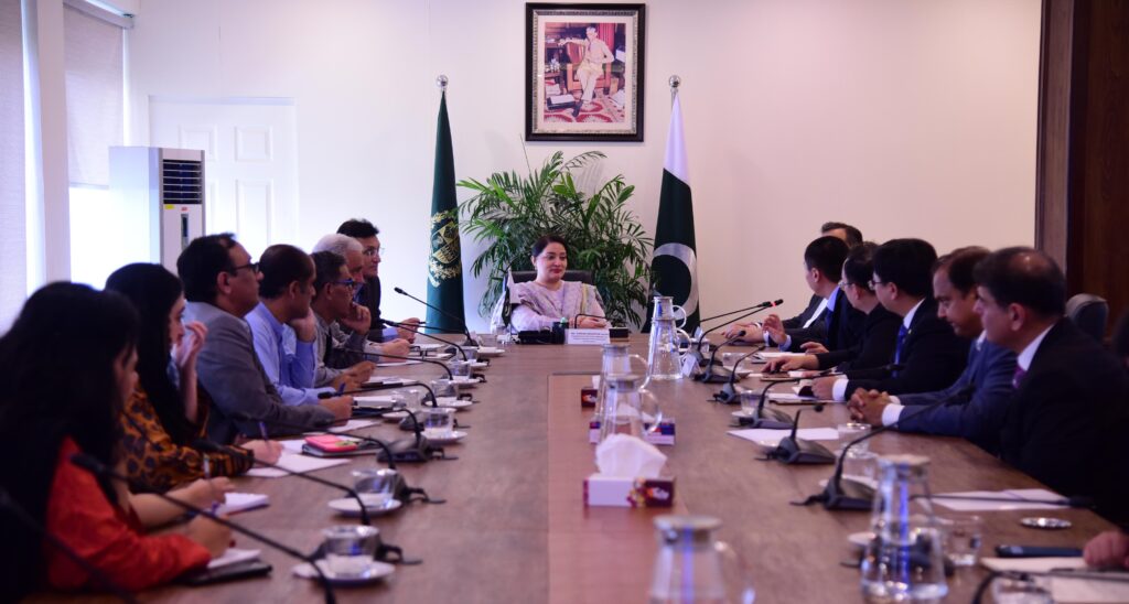 Romina Khurshid Alam chairs high-level meeting