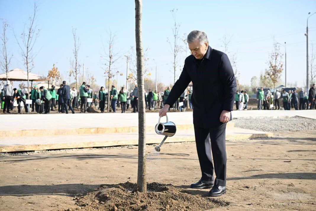 President of Uzbekistan:It is essential for every home and every enterprise to contribute to the preservation of nature