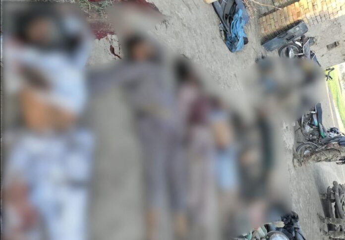 WhatsApp Image 2025-02-15 at 4.36.01 PM