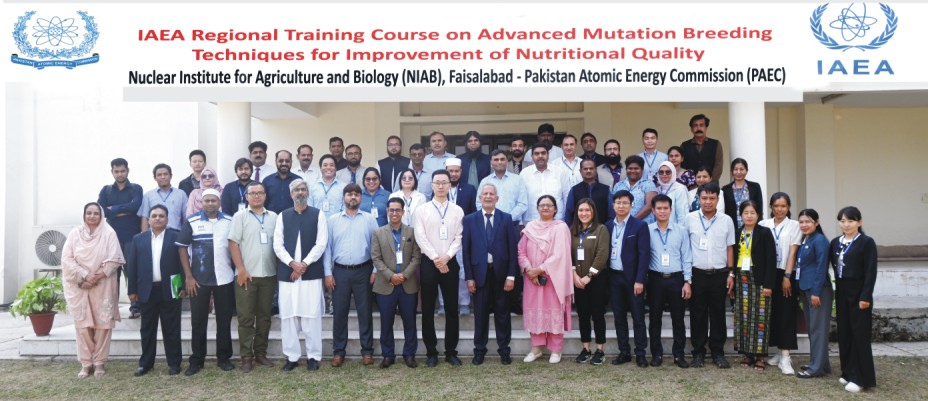 IAEA Regional Training Course at NIAB Concluded