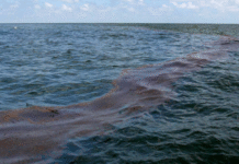 Black Sea Inferno: Unprecedented Threats to Navigation Safety and Environment