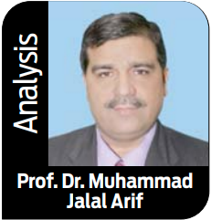 Universities as Engines of Employment: From Degrees to Dignified Futures